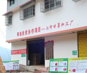 粤桂协作成效高，大山深处惠瑶胞